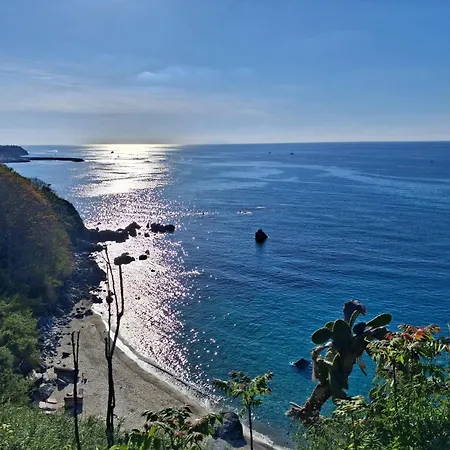 Agorà 2 *